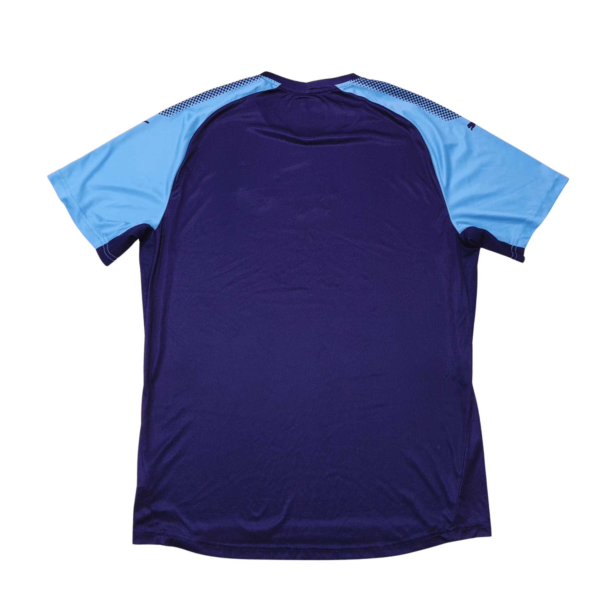 Sydney FC 2018/19 Training Jersey Front