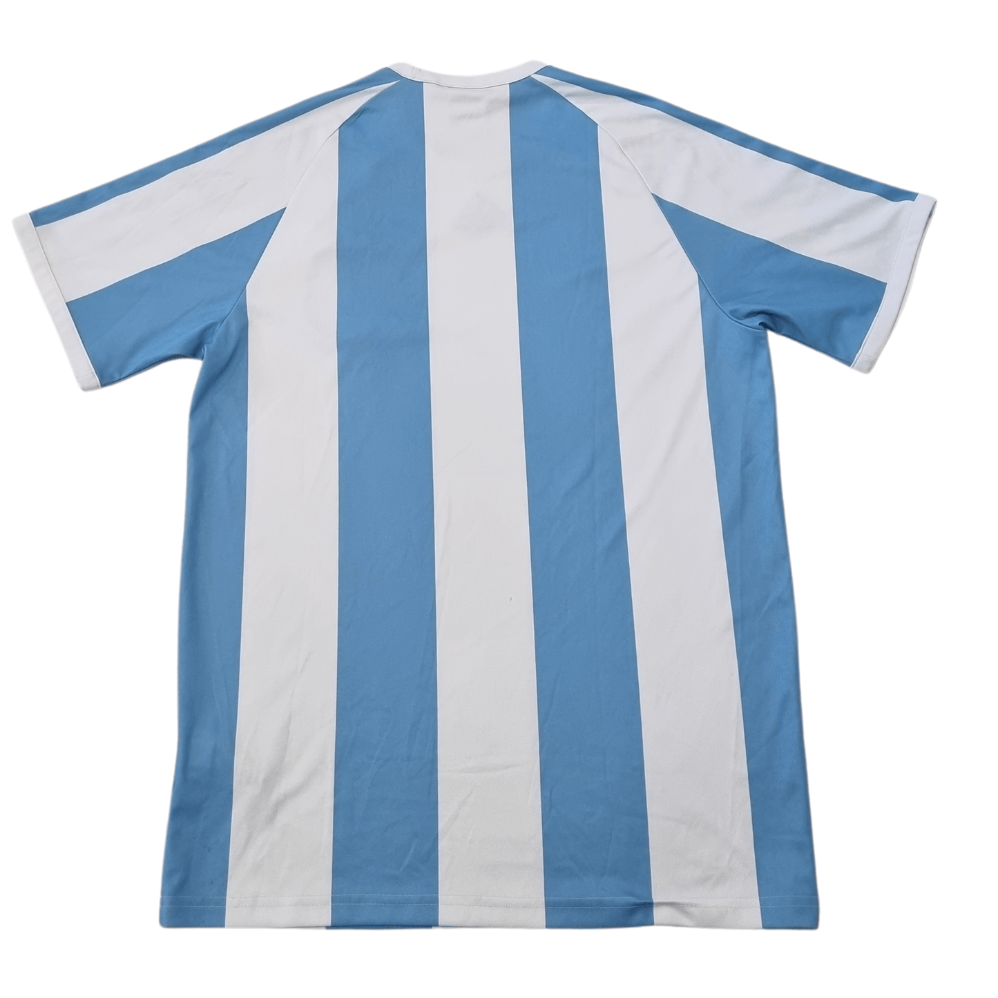 Argentina 2010 Home Jersey Back