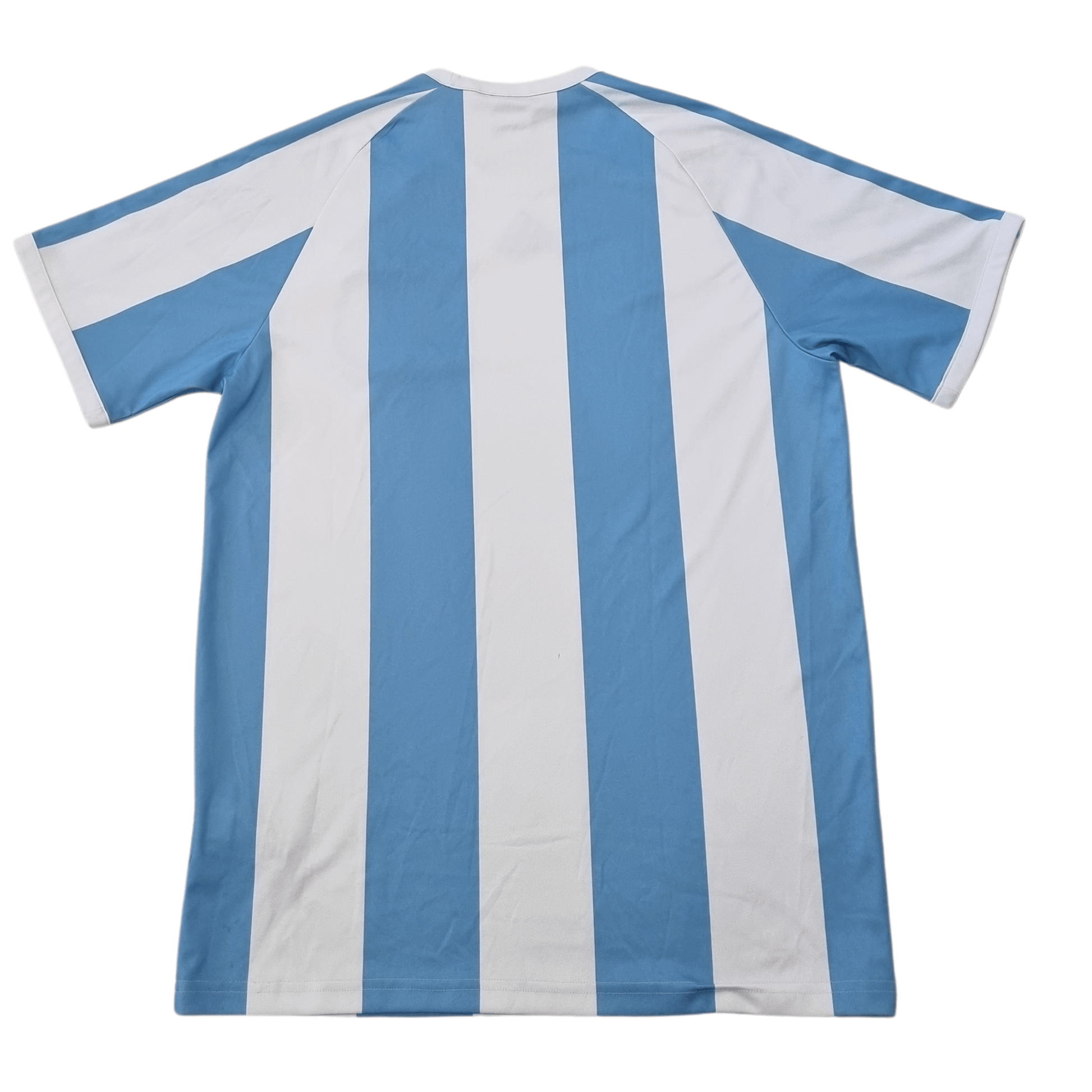 Argentina 2010 Home Jersey Back
