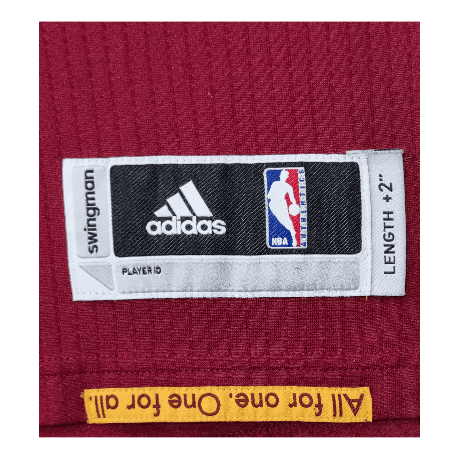 Cleveland Cavaliers Swingman Jersey - Logo - Lebron James