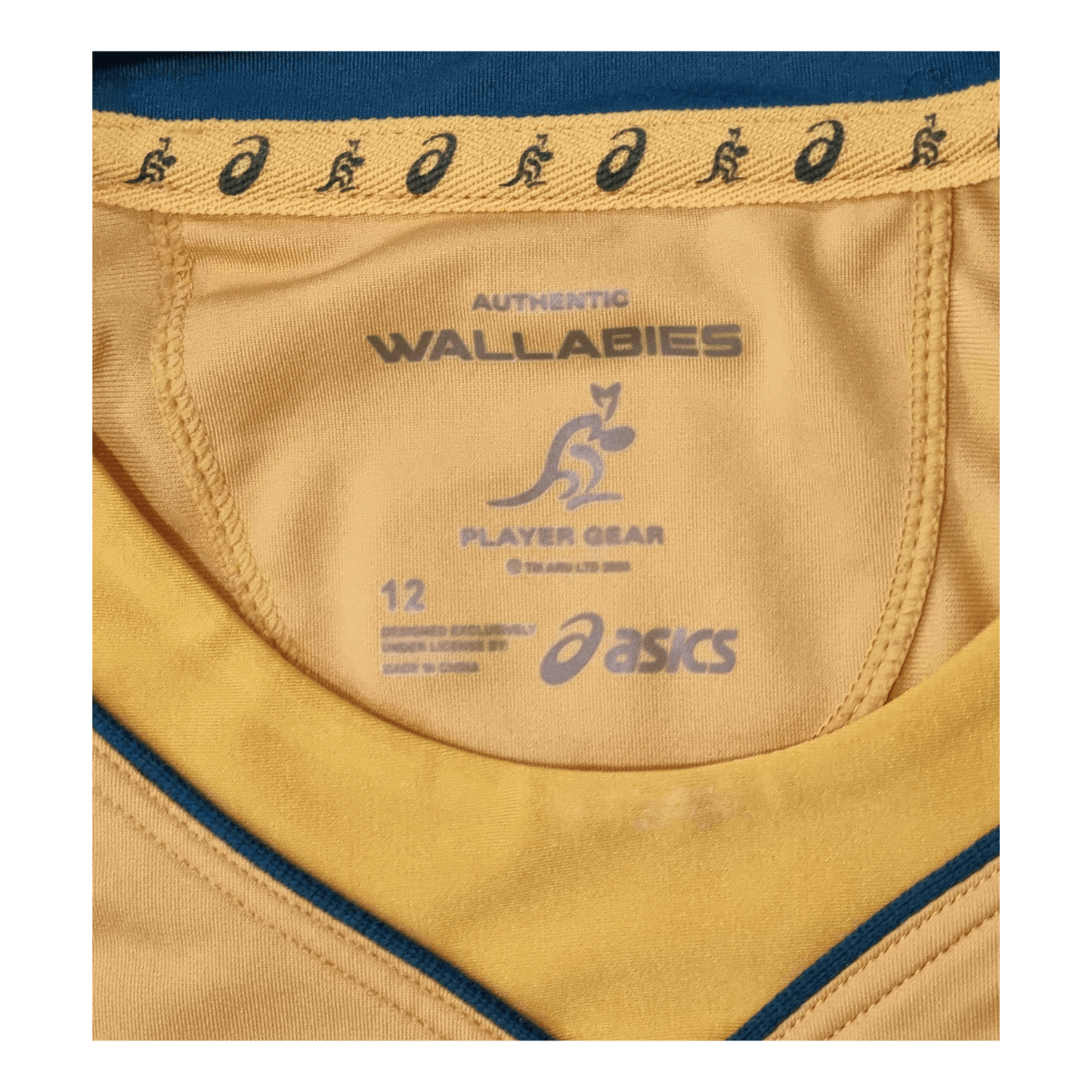 Australia 2017 Home Jersey - front