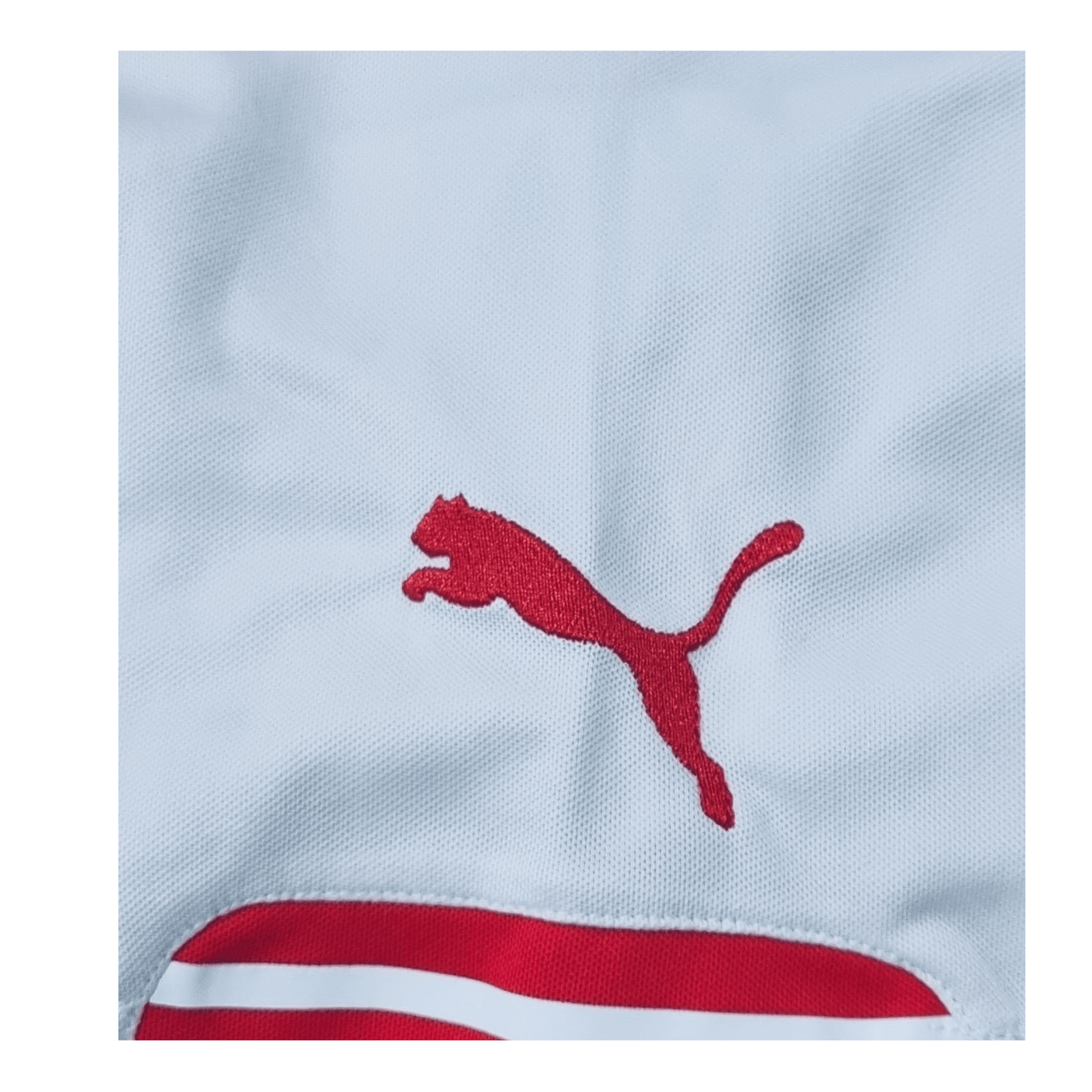 Puma Logo