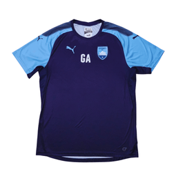 Sydney FC 2018/19 Training Jersey (unsponsored) - Front