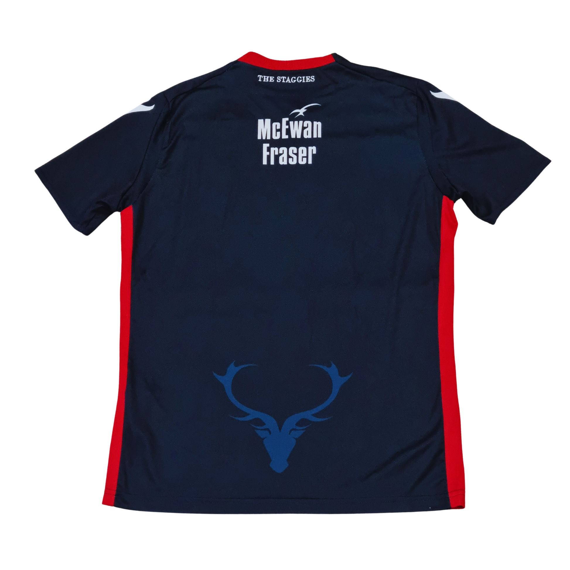 Ross County 2018/19 Home Jersey Back