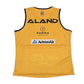 Parramatta Eels 2020 Training Singlet