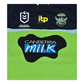 Canberra Raiders 2021 Home Jersey Logos