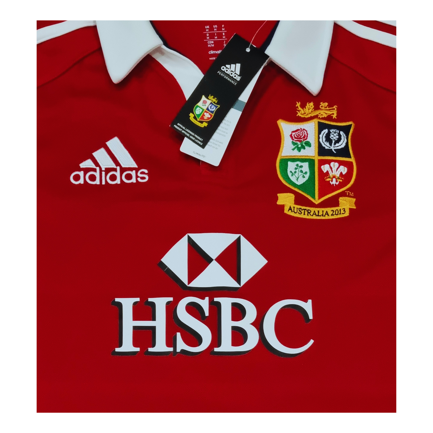 British & Irish Lions 2013 Jersey - Logo