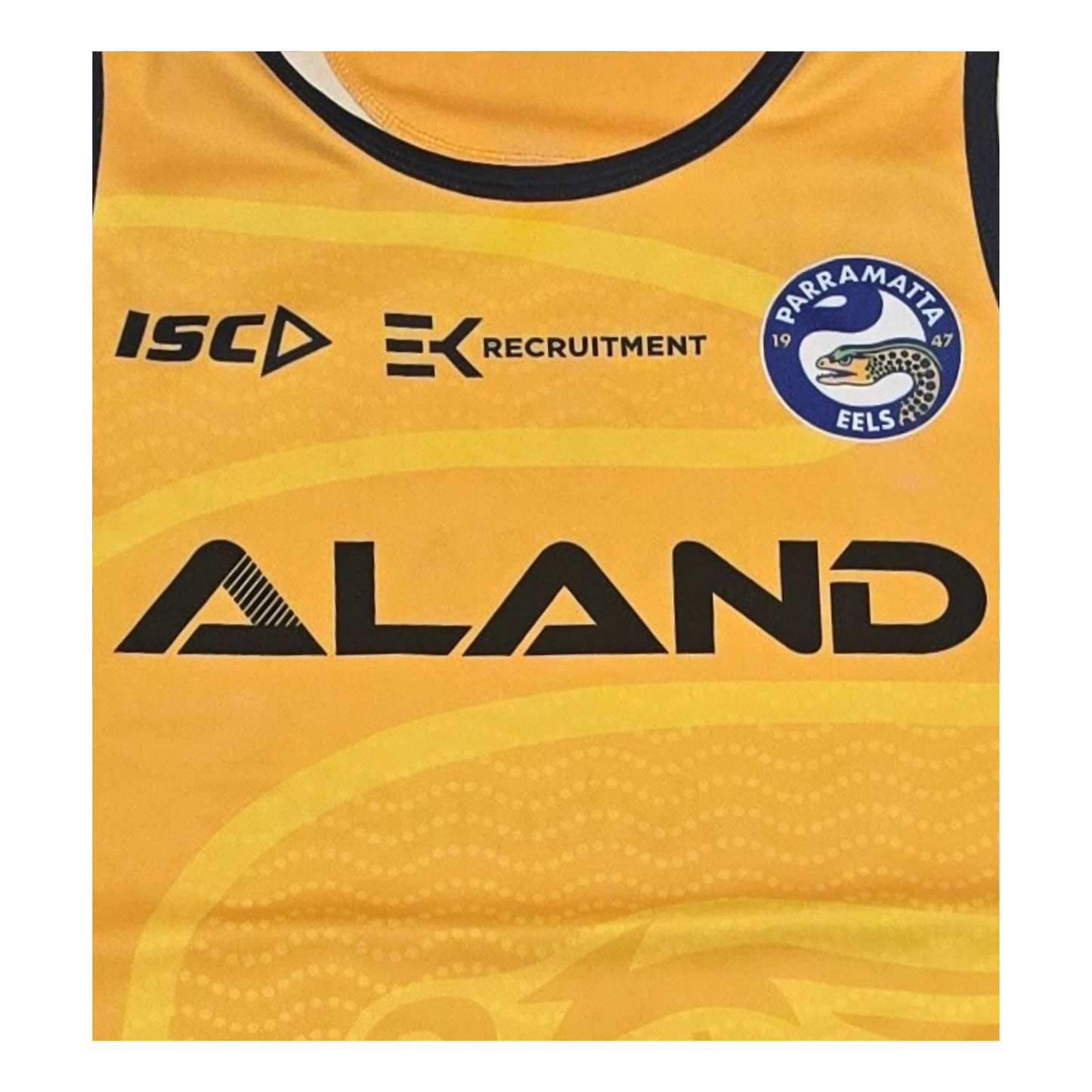 Parramatta Eels 2020 Training Singlet