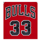 Chicago Bulls 1997/98 HWC Swingman Jersey - Scottie Pippen