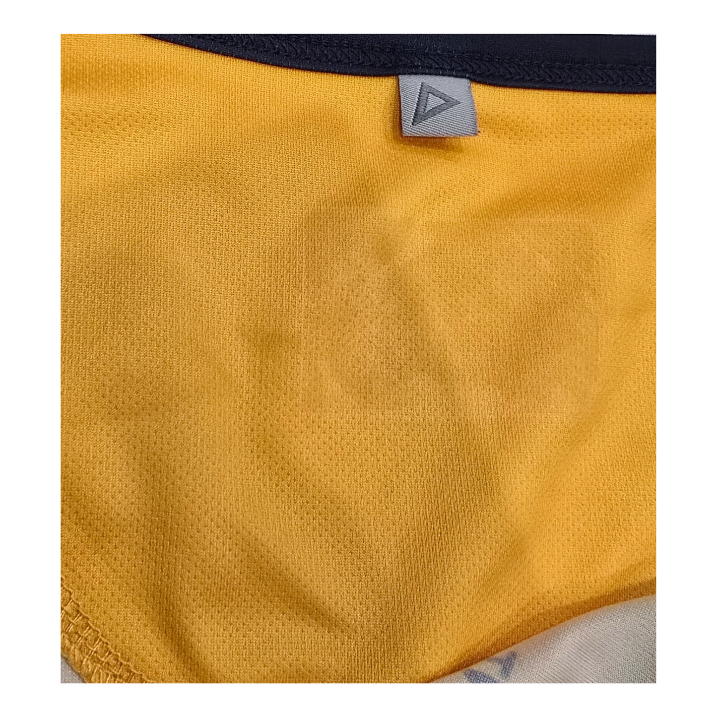 Parramatta Eels 2020 Training Singlet