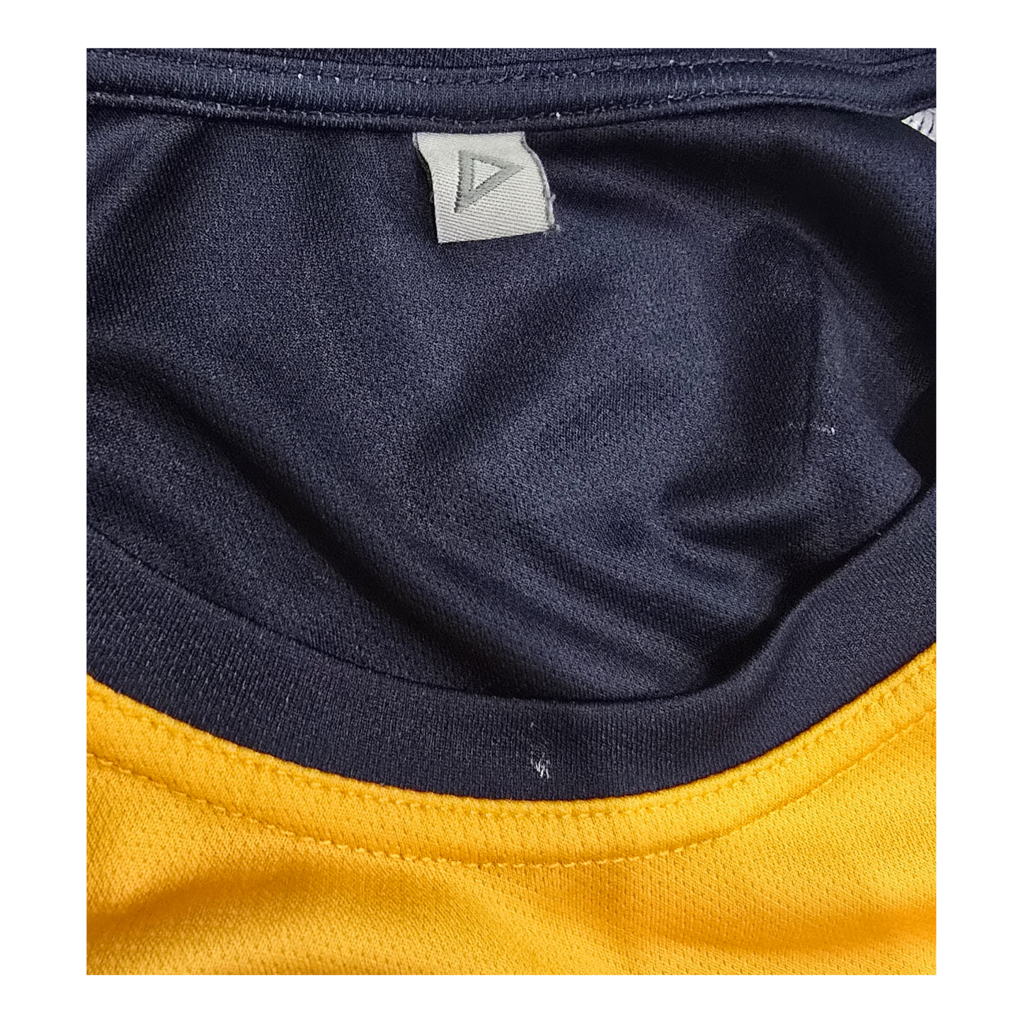 Parramatta Eels 2020 Training Shirt (Long Sleeve)